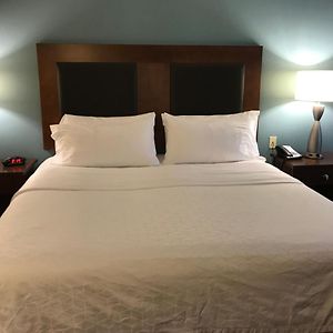 King Suite Sofa Bed